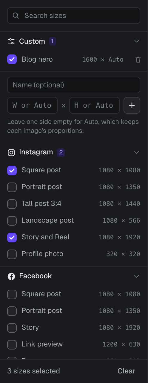 The size sidebar with a custom Blog hero size of 1600 by Auto, and Instagram Square post and Story and Reel ticked.
